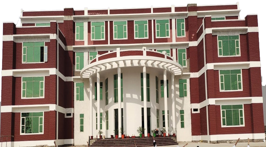 About the School
